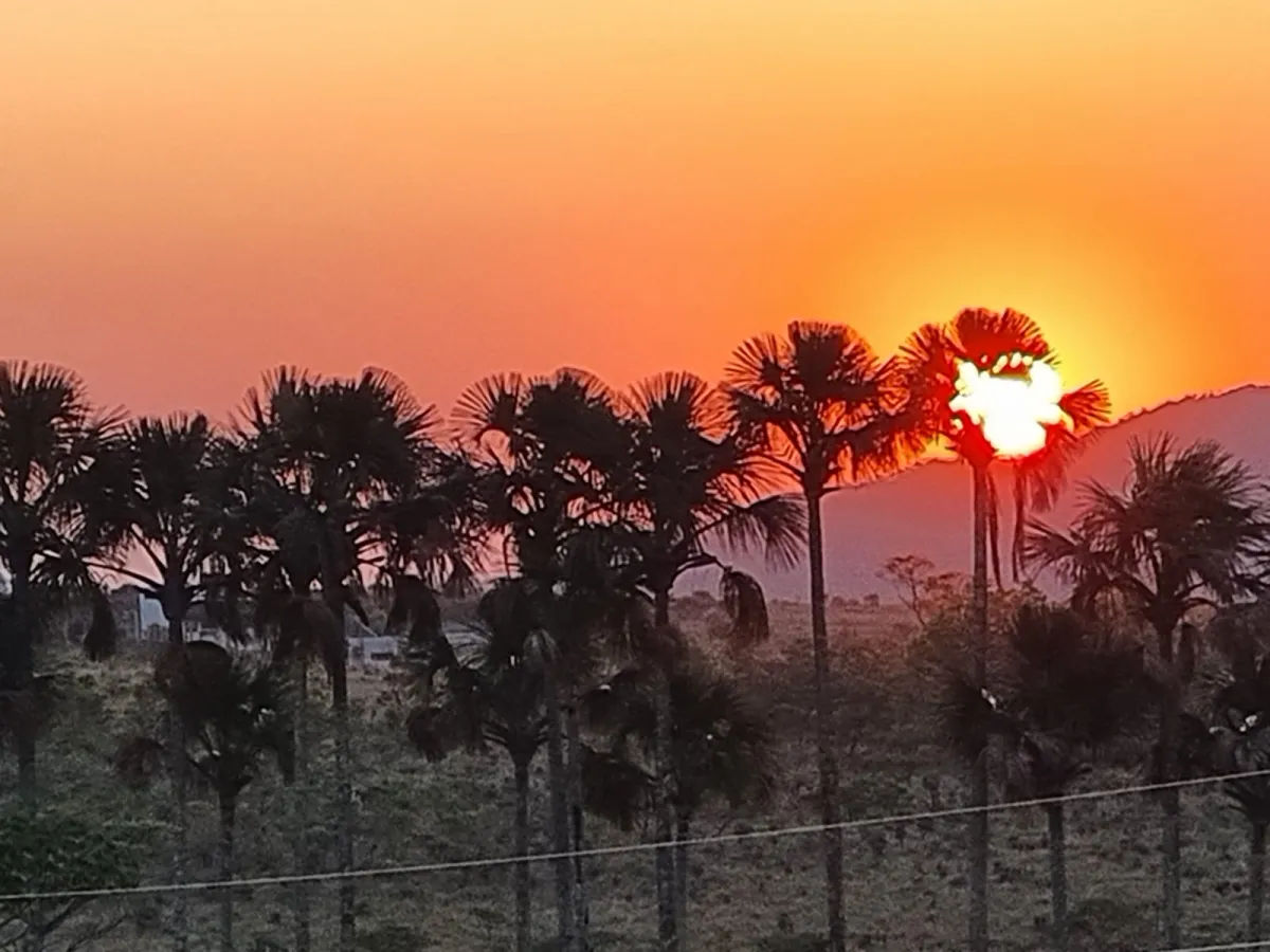 Imagem de TERRA DE 4 HECTARES NO VALE VERDE