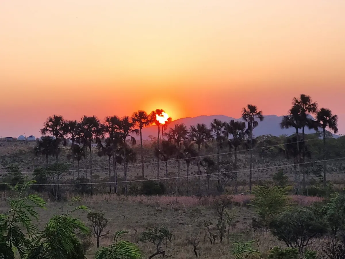 Imagem de TERRA DE 4 HECTARES NO VALE VERDE