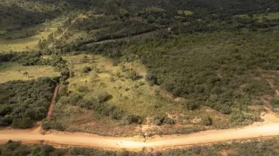 Imagem de VENDE-SE LINDA TERRA DE CULTURA