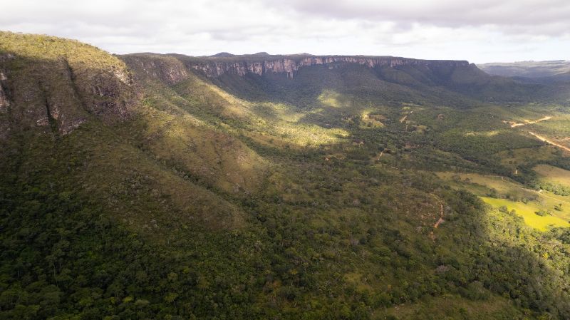 Imagem de VENDE-SE LINDA TERRA DE CULTURA