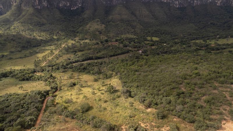 Imagem de VENDE-SE LINDA TERRA DE CULTURA