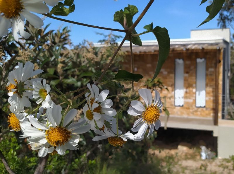 Imagem de LINDA CASA DENTRO DA MATA