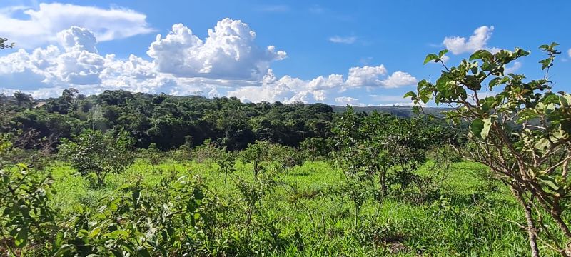 Imagem de SEU SONHO COMEÇA AQUI