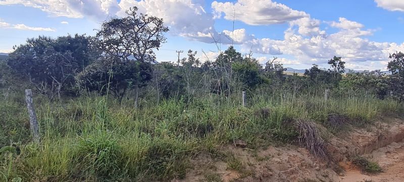Imagem de LINDA TERRA A 12 KM DA CIDADE