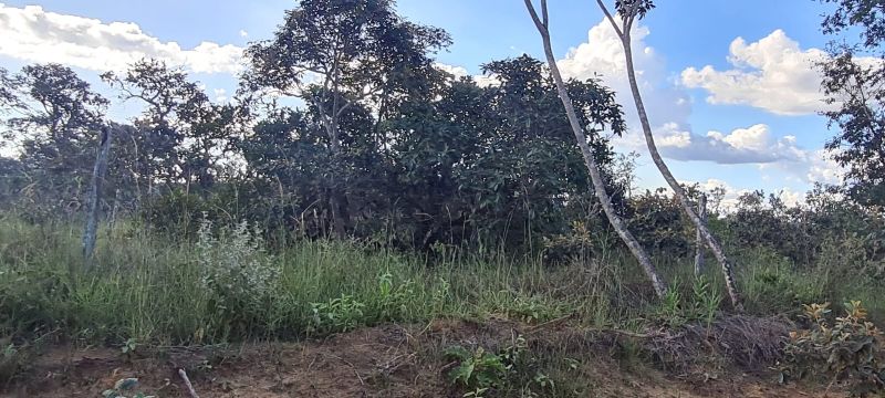 Imagem de LINDA TERRA A 12 KM DA CIDADE