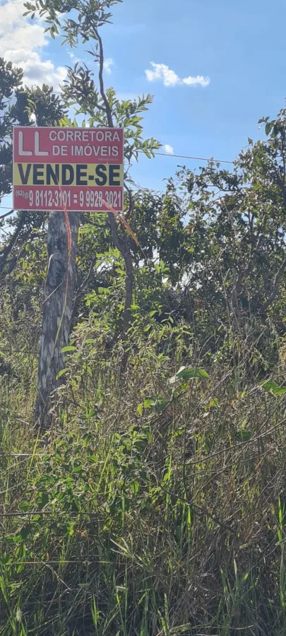 Imagem de LINDO LOTE NA PARTE ALTA DO ELDORADO