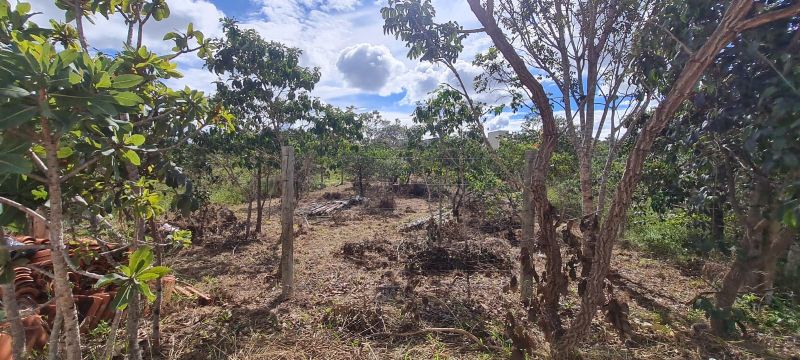 Imagem de LINDO LOTE NA PARTE ALTA DO ELDORADO