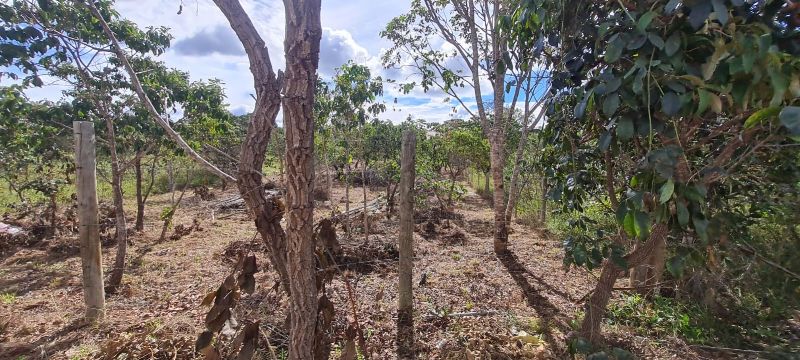 Imagem de LINDO LOTE NA PARTE ALTA DO ELDORADO