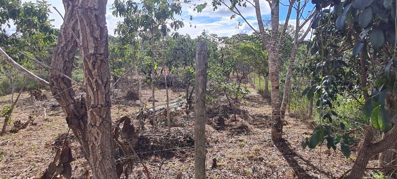 Imagem de LINDO LOTE NA PARTE ALTA DO ELDORADO