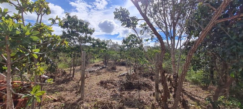 Imagem de LINDO LOTE NA PARTE ALTA DO ELDORADO