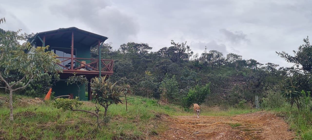Imagem de ALUGA-SE CASA NO MORRO