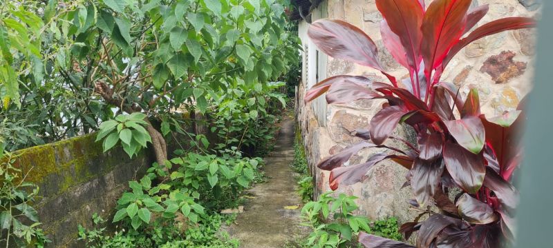 Imagem de Ótima casa bem localizada no Centro da cidade