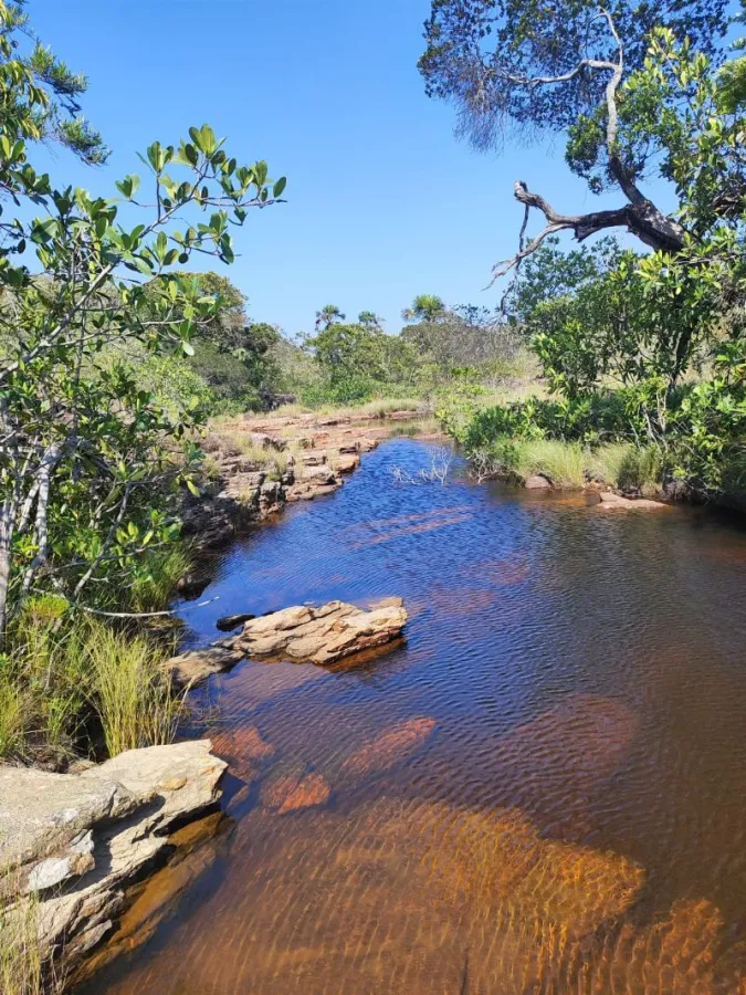 Imagem de 🌿 Paraíso à Venda em Alto Paraíso de Goiás! 🌿