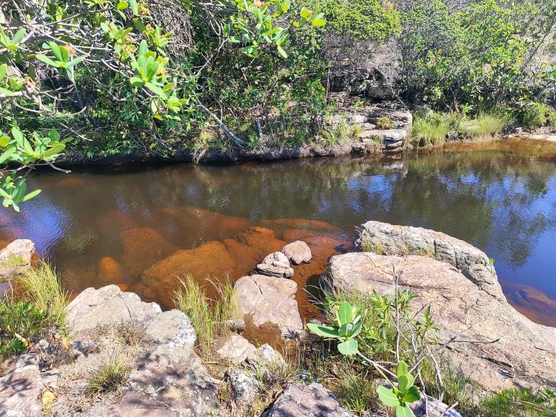 Imagem de 🌿 Paraíso à Venda em Alto Paraíso de Goiás! 🌿