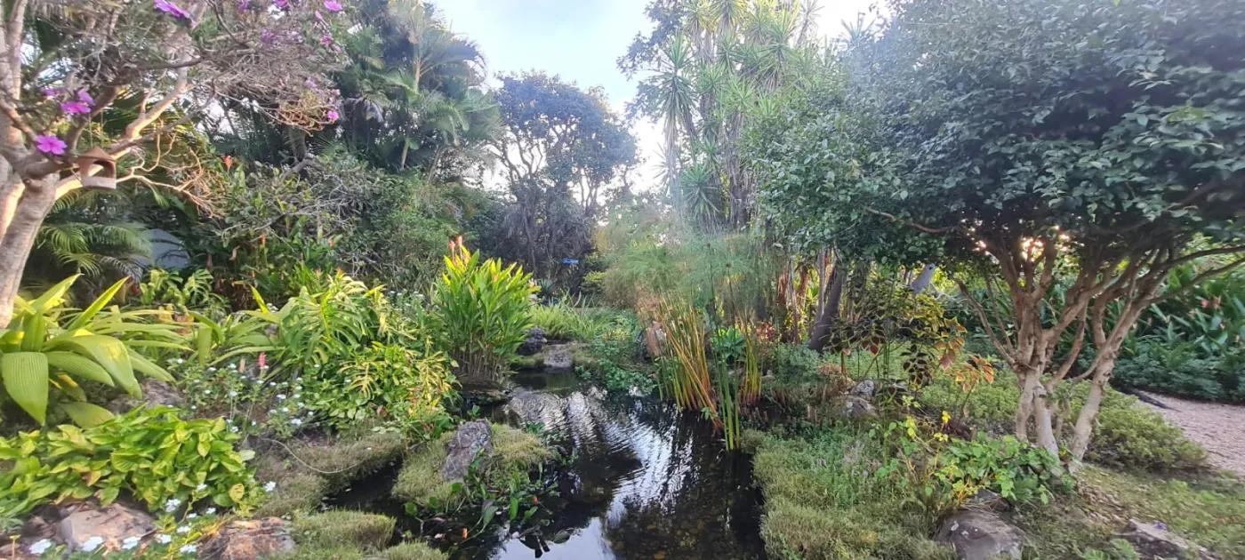 Imagem de Oportunidade na Chapada dos Veadeiros! Pousada em Funcionamento à Venda