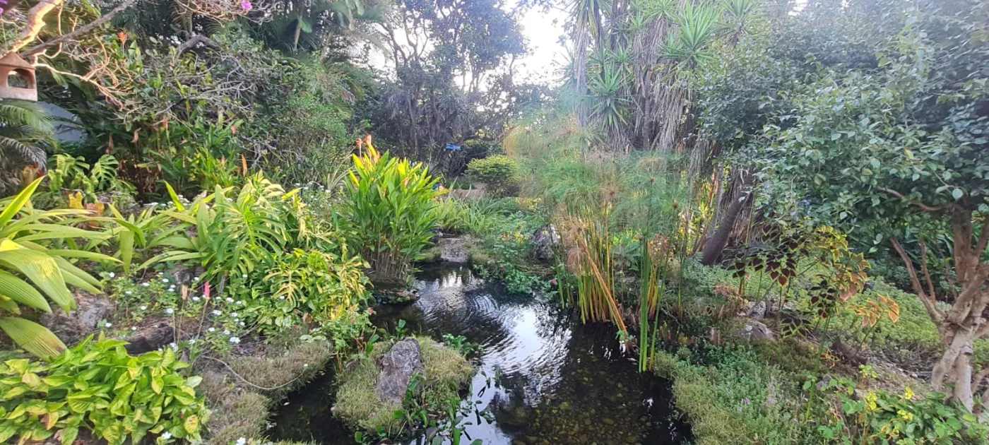 Imagem de Oportunidade na Chapada dos Veadeiros! Pousada em Funcionamento à Venda