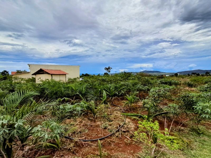 Imagem de VENDE-SE EMPREENDIMENTO A 3 KM DO CENTRO DE ALTO PARAÍSO