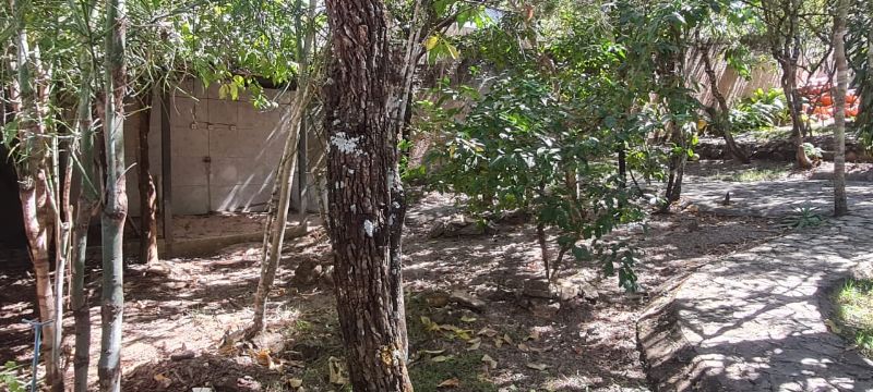 Imagem de 🏡 ÓTIMO LOTE À VENDA – ESTÂNCIA PARAÍSO 🏡
