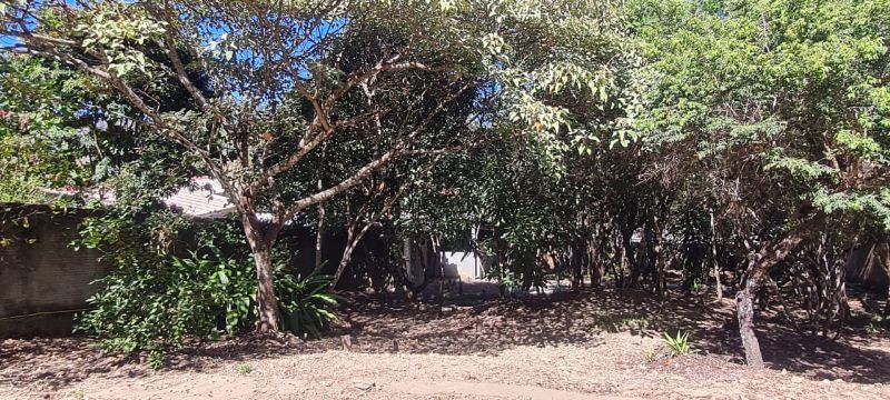 Imagem de 🏡 ÓTIMO LOTE À VENDA – ESTÂNCIA PARAÍSO 🏡