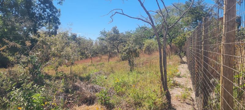 Imagem de LINDO LOTE DE 525 M² DE ESQUINA