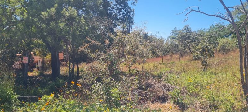Imagem de LINDO LOTE DE 525 M² DE ESQUINA