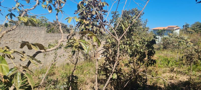 Imagem de 🌿 LINDO LOTE MURADO COM VISTA ESPETACULAR 🌿