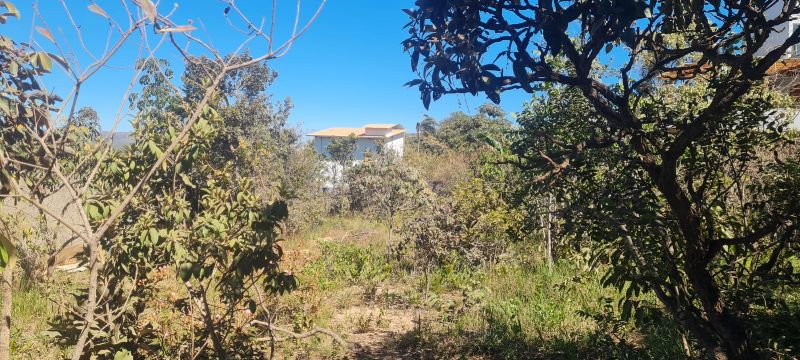 Imagem de 🌿 LINDO LOTE MURADO COM VISTA ESPETACULAR 🌿