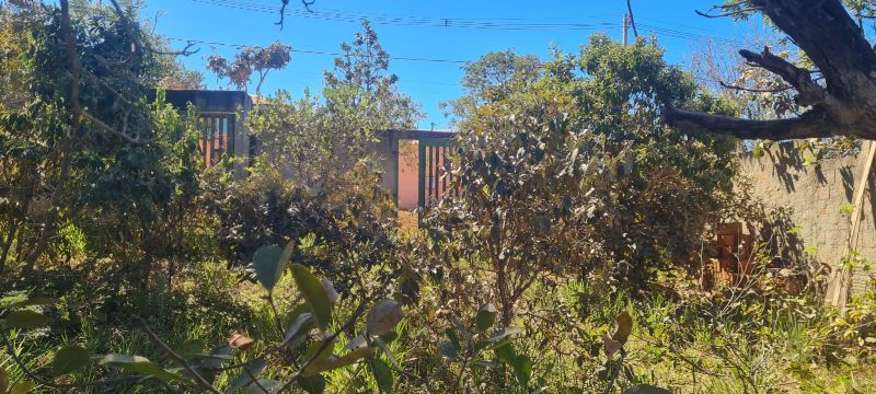 Imagem de 🌿 LINDO LOTE MURADO COM VISTA ESPETACULAR 🌿