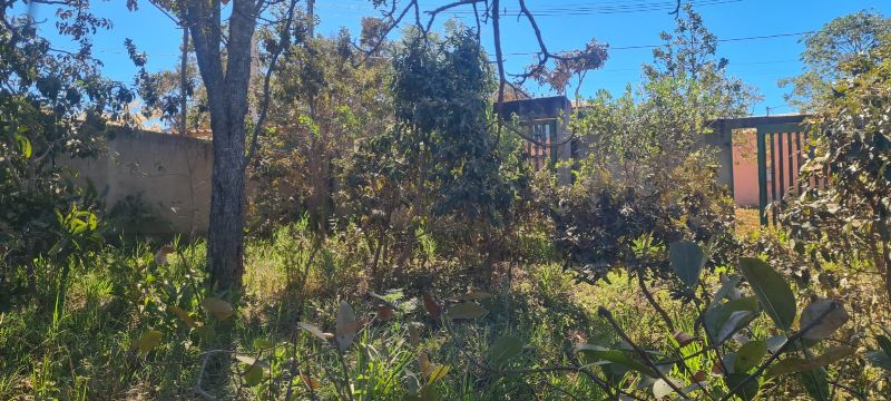 Imagem de 🌿 LINDO LOTE MURADO COM VISTA ESPETACULAR 🌿