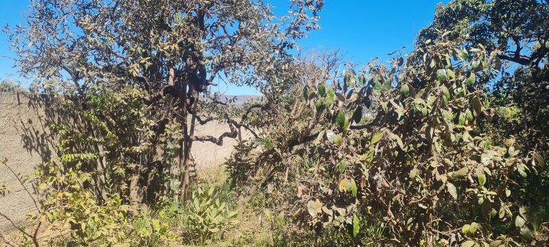 Imagem de 🌿 LINDO LOTE MURADO COM VISTA ESPETACULAR 🌿