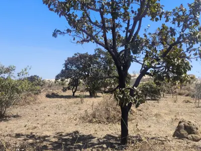 Imagem de 🌿 EXCELENTE OPORTUNIDADE NA CHAPADA 🌿