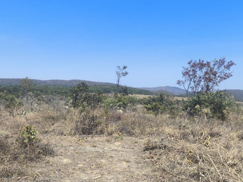Imagem de 🌿 EXCELENTE OPORTUNIDADE NA CHAPADA 🌿