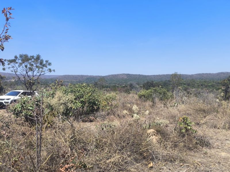 Imagem de 🌿 EXCELENTE OPORTUNIDADE NA CHAPADA 🌿
