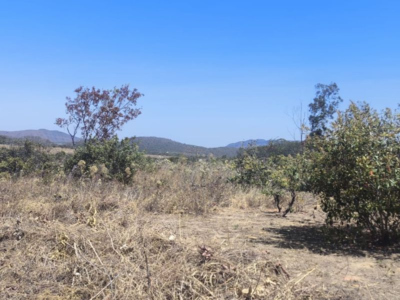 Imagem de 🌿 EXCELENTE OPORTUNIDADE NA CHAPADA 🌿