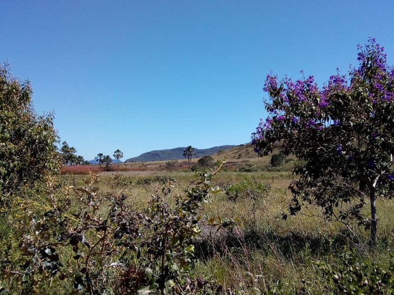 Imagem de 🌿 Linda Chácara a 5 km da Cidade com Vista Deslumbrante 🌿