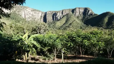 Imagem de 🌄 LINDA PROPRIEDADE RURAL A 14 KM DE ALTO PARAÍSO!