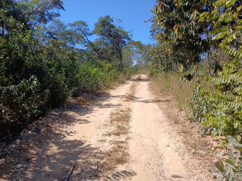 Imagem de 🌳 LINDO LOTE EM CAVALCANTE – A 1 KM DO CENTRO 🌳