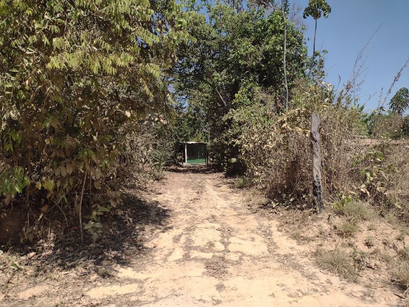 Imagem de 🌿 REFÚGIO NA CHAPADA – Seu lugar de paz e conexão com a natureza