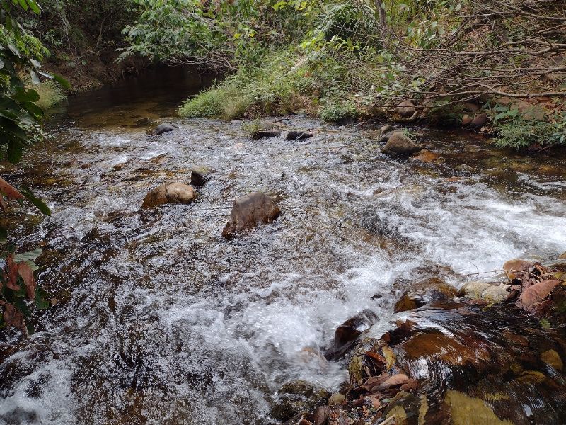 Imagem de 🌿 REFÚGIO NA CHAPADA – Seu lugar de paz e conexão com a natureza