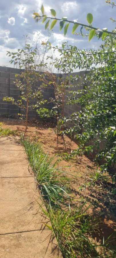 Imagem de 🏡 EXCELENTE LOTE DE ESQUINA – RESIDENCIAL OU COMERCIAL