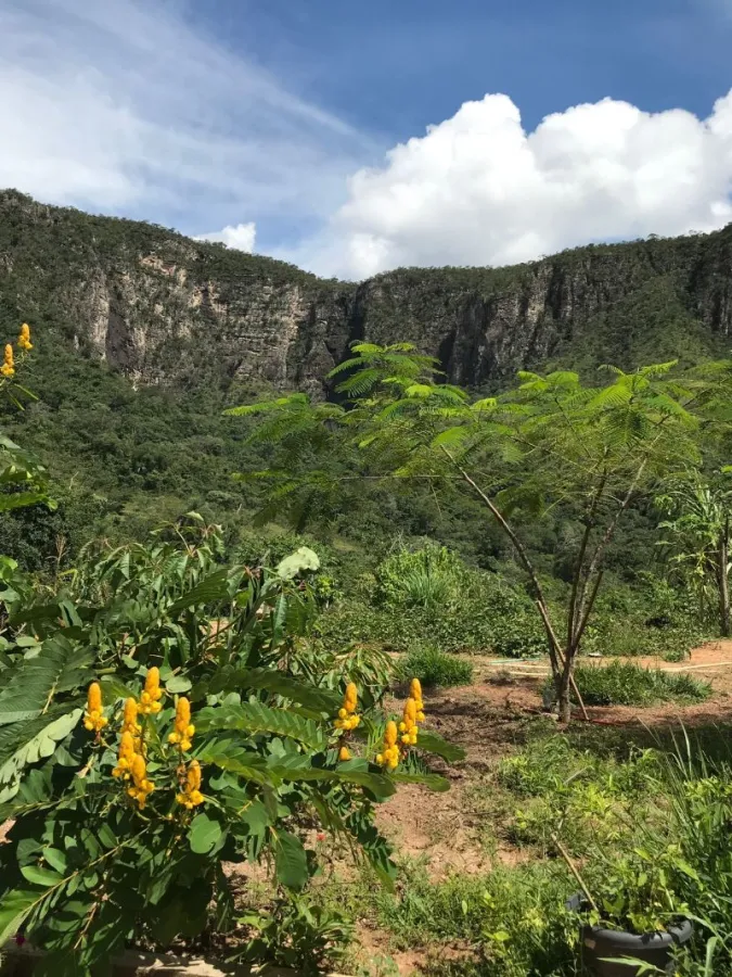Imagem de 🌄 LINDA ÁREA RURAL COM VISTA DESLUMBRANTE PARA O MORRO