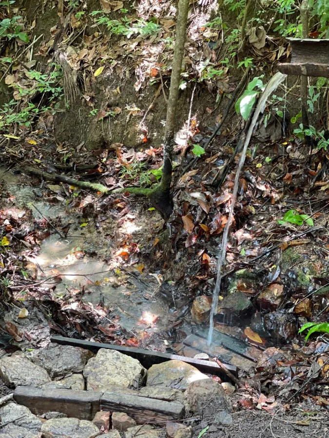 Imagem de 🌄 LINDA ÁREA RURAL COM VISTA DESLUMBRANTE PARA O MORRO