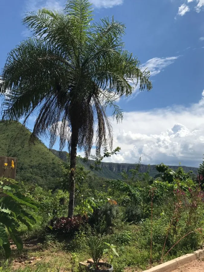 Imagem de 🌄 LINDA ÁREA RURAL COM VISTA DESLUMBRANTE PARA O MORRO