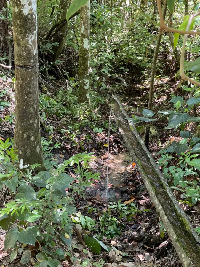 Imagem de 🌄 LINDA ÁREA RURAL COM VISTA DESLUMBRANTE PARA O MORRO