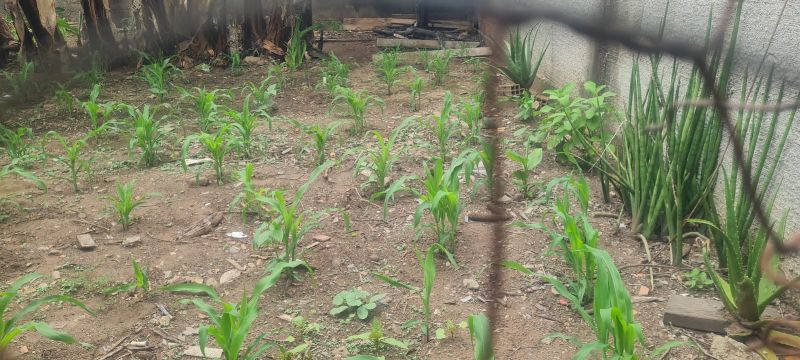 ✨ EXCELENTE ESPAÇO COMERCIAL E RESIDENCIAL NO CENTRO - Centro, Alto Paraíso de Goiás [234]