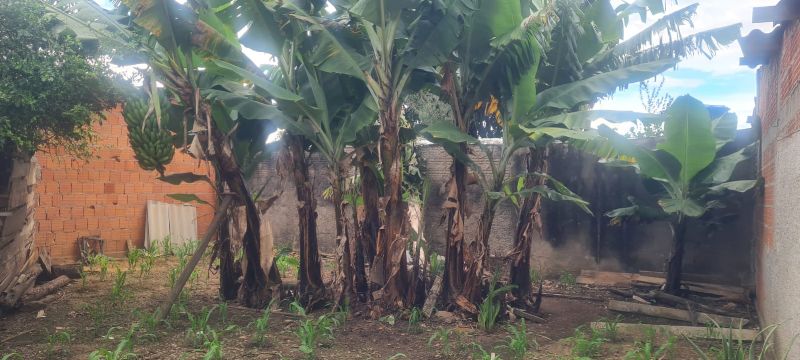 ✨ EXCELENTE ESPAÇO COMERCIAL E RESIDENCIAL NO CENTRO - Centro, Alto Paraíso de Goiás [234]