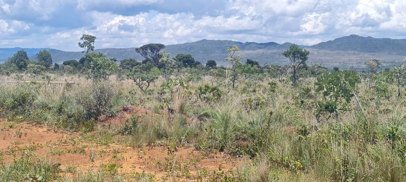 🌄 OPORTUNIDADE EXCLUSIVA — TERRENO PRÓXIMO AO CENTRO - Zona Rural, Alto Paraíso de Goiás [236]