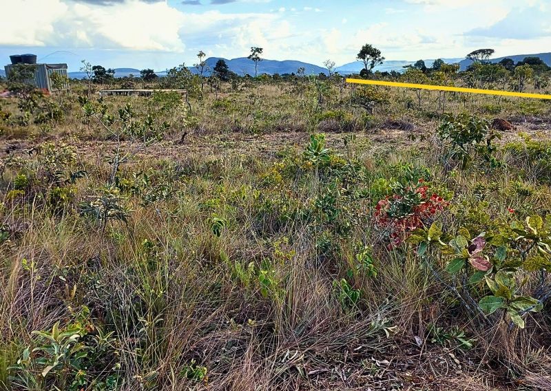 🌄 OPORTUNIDADE EXCLUSIVA — TERRENO PRÓXIMO AO CENTRO - Zona Rural, Alto Paraíso de Goiás [236]