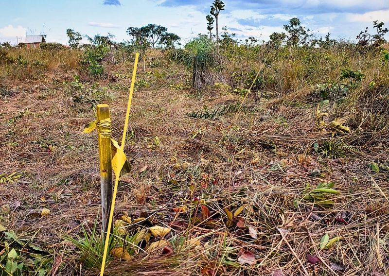 🌄 OPORTUNIDADE EXCLUSIVA — TERRENO PRÓXIMO AO CENTRO - Zona Rural, Alto Paraíso de Goiás [236]