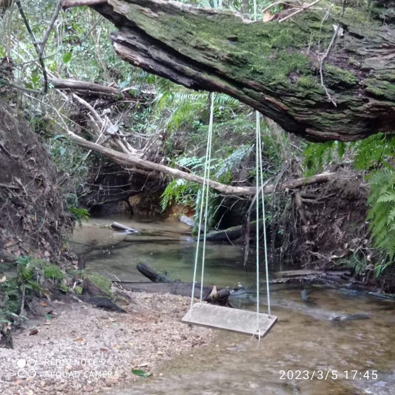 🌿 LINDO SÍTIO COM EXCELENTE CASA - Zona Rural, Alto Paraíso de Goiás [239]